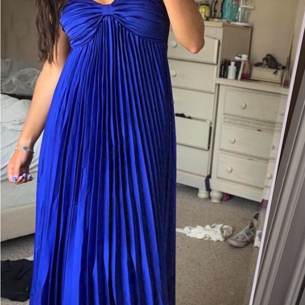 Petal and Pup Blue Pleated Dress